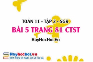 Bài 5 trang 81 Toán 11 tập 2 Chân trời sáng tạo